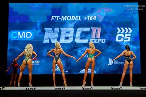 FIT-MODEL +164 раунд 1